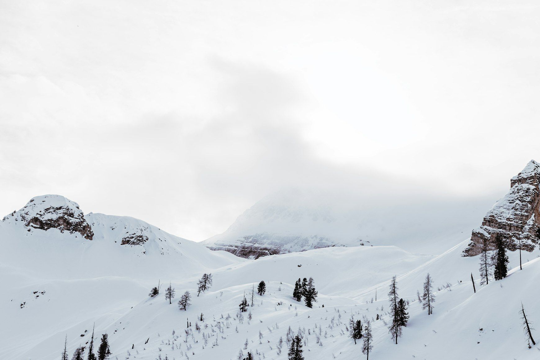 a snow covered mountain with trees on the side